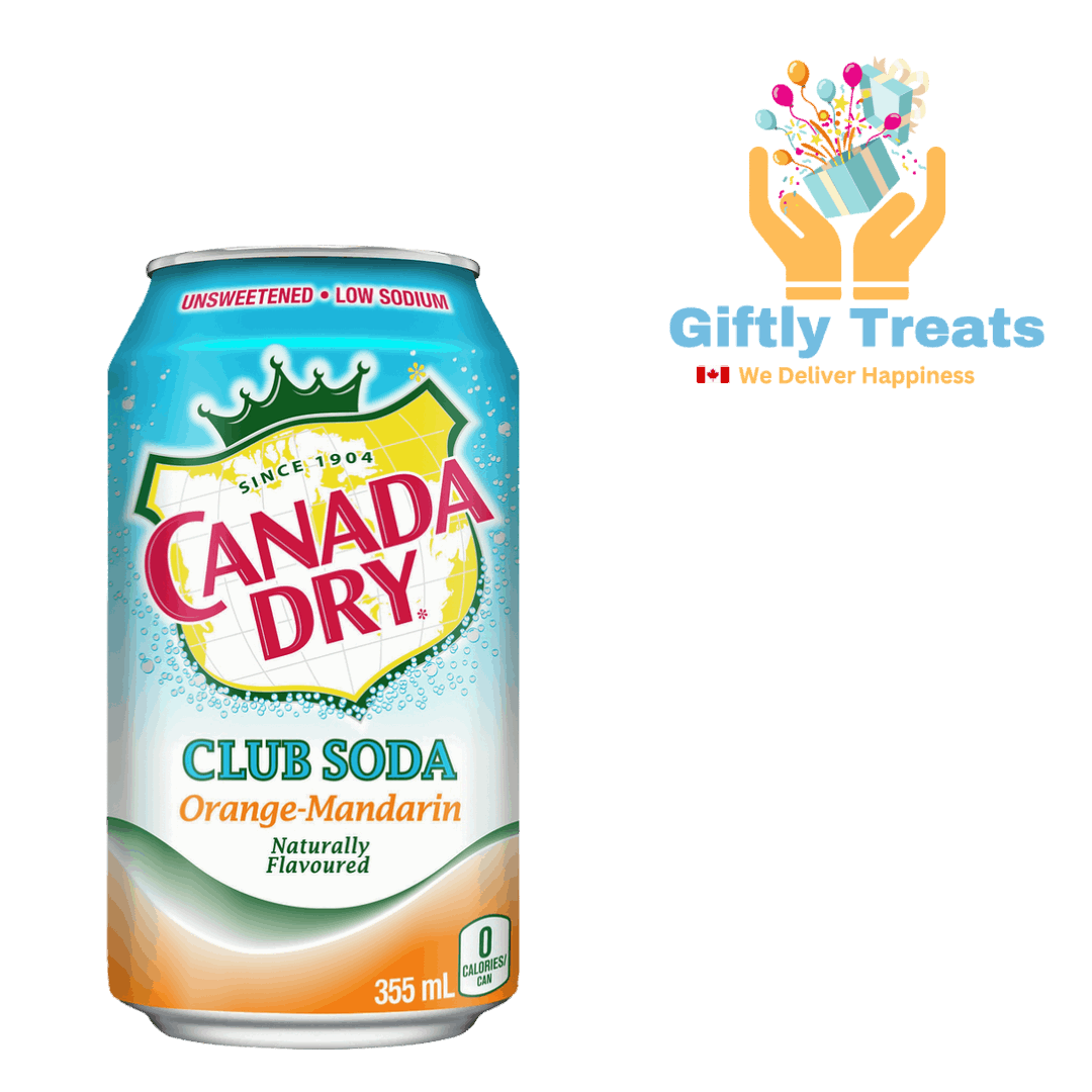 Canada Dry Club Soda Orange Mandarin 355ml