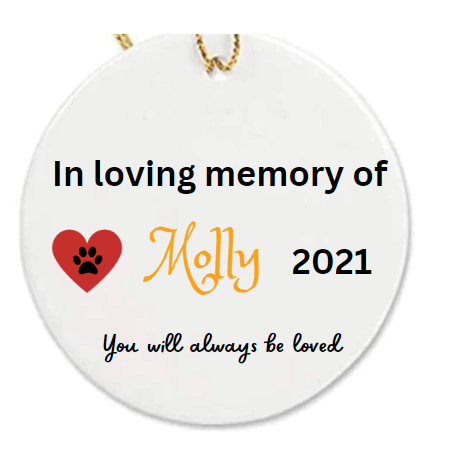 Personalised Pet Ornament 